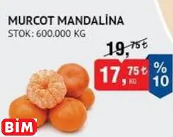 MURCOT MANDALİNA MURCOT MANDALİNA